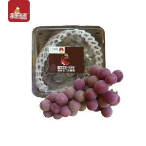 Kyoho Grape　500G