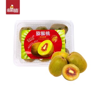 Red Heart Kiwi 400G