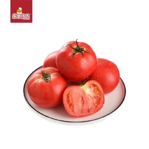 Tomato 4pcs