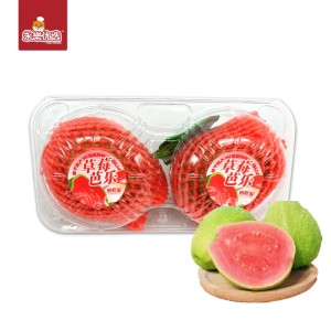 Pink Guava 2pcs