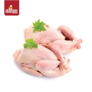 Quail 5PCS/Pack