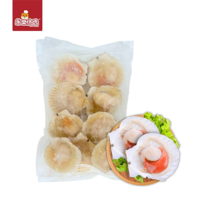 半壳扇贝 1公斤