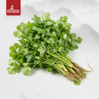 中国香菜 500g