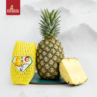 台湾金钻凤梨