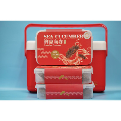 国标 鲜食海参 [发中国][下单联系客服]