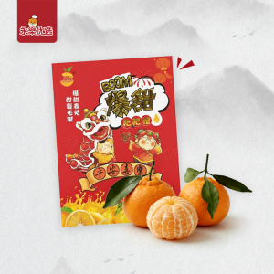 耙耙柑礼盒装