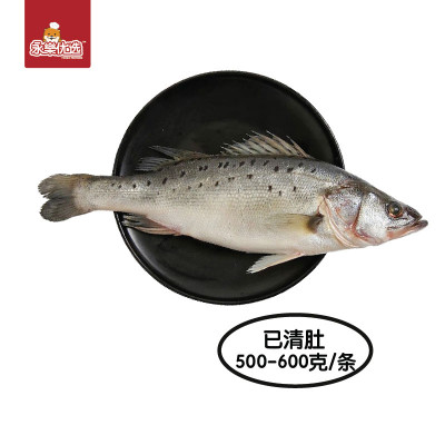 金目鲈鱼【700+-克/整条】