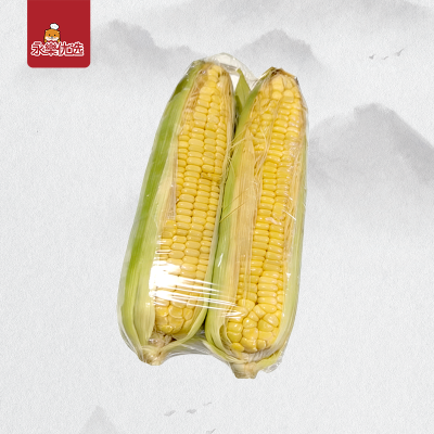 金马伦玉米