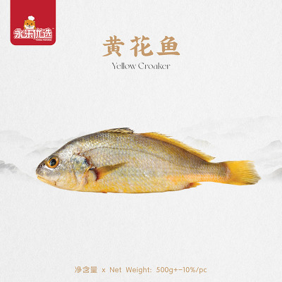 黄花鱼【500-600g】