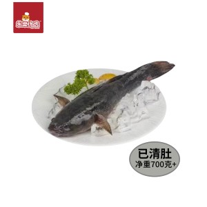 Marble Goby （Soon Hock）700G