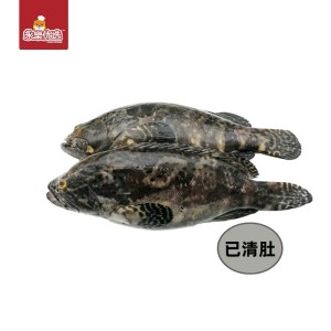  Frozen Brown-marbled Grouper 2pcs/500G